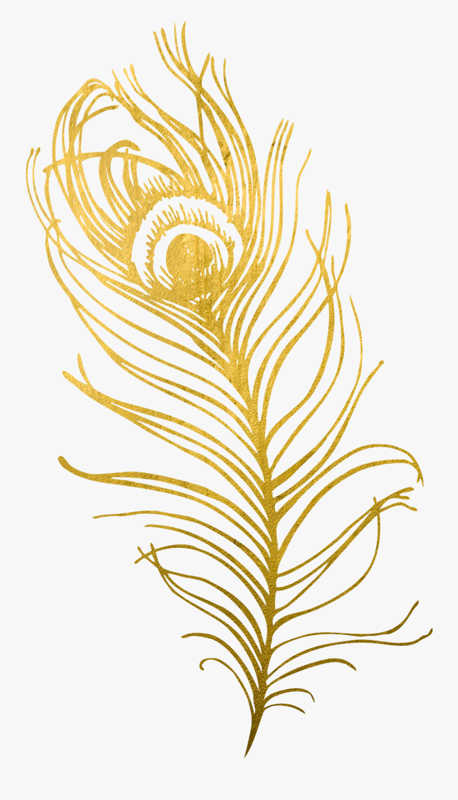 Cool Transparent Background Gold Peacock Feather Png