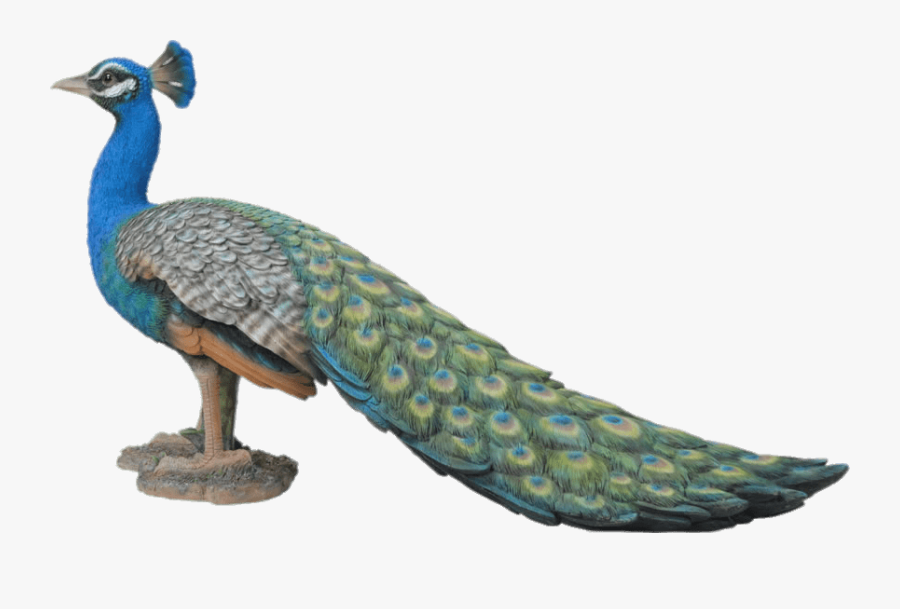 Peacock Garden Ornament - Resin Peacock Garden Ornament, Transparent Clipart