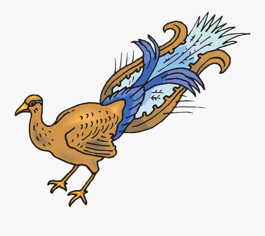 Bird, Wings, Peacock, Tail, Plucked, Pluck - Cola Ave, Transparent Clipart