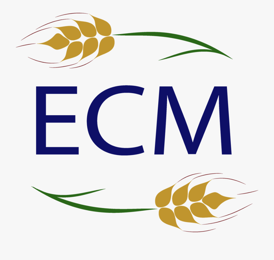 Kick American Football Clipart , Png Download - Festival Internacional De Cine Con Medios Alternativos, Transparent Clipart