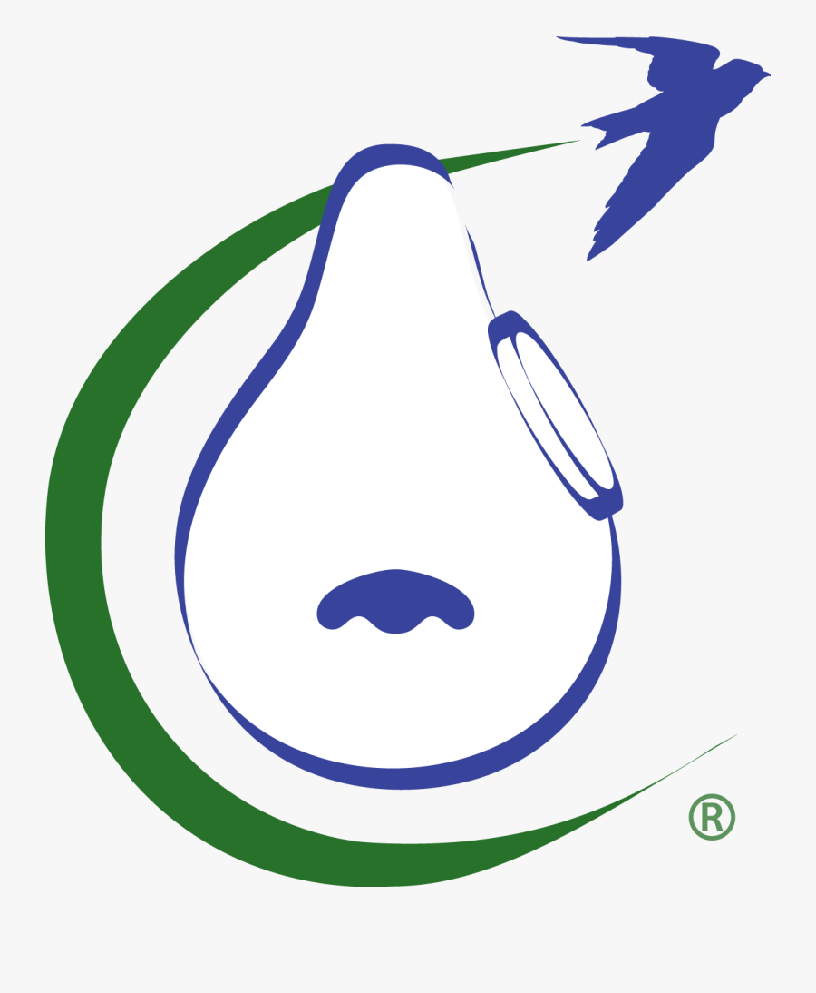 Gift Certificate - Purple Martin Conservation, Transparent Clipart