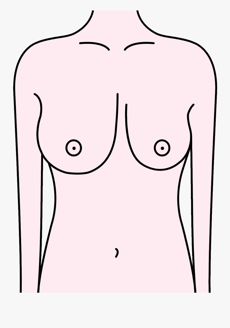 The Best Bra For Your Breast Type - Cartoon, Transparent Clipart