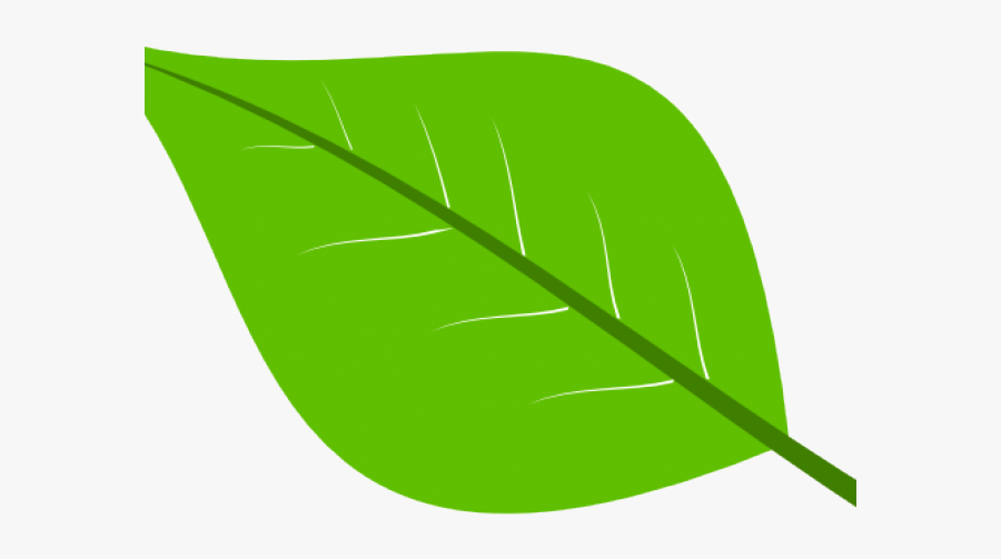 Png Image Green Leaf Clipart Cartoon Transparent Background, Transparent Clipart