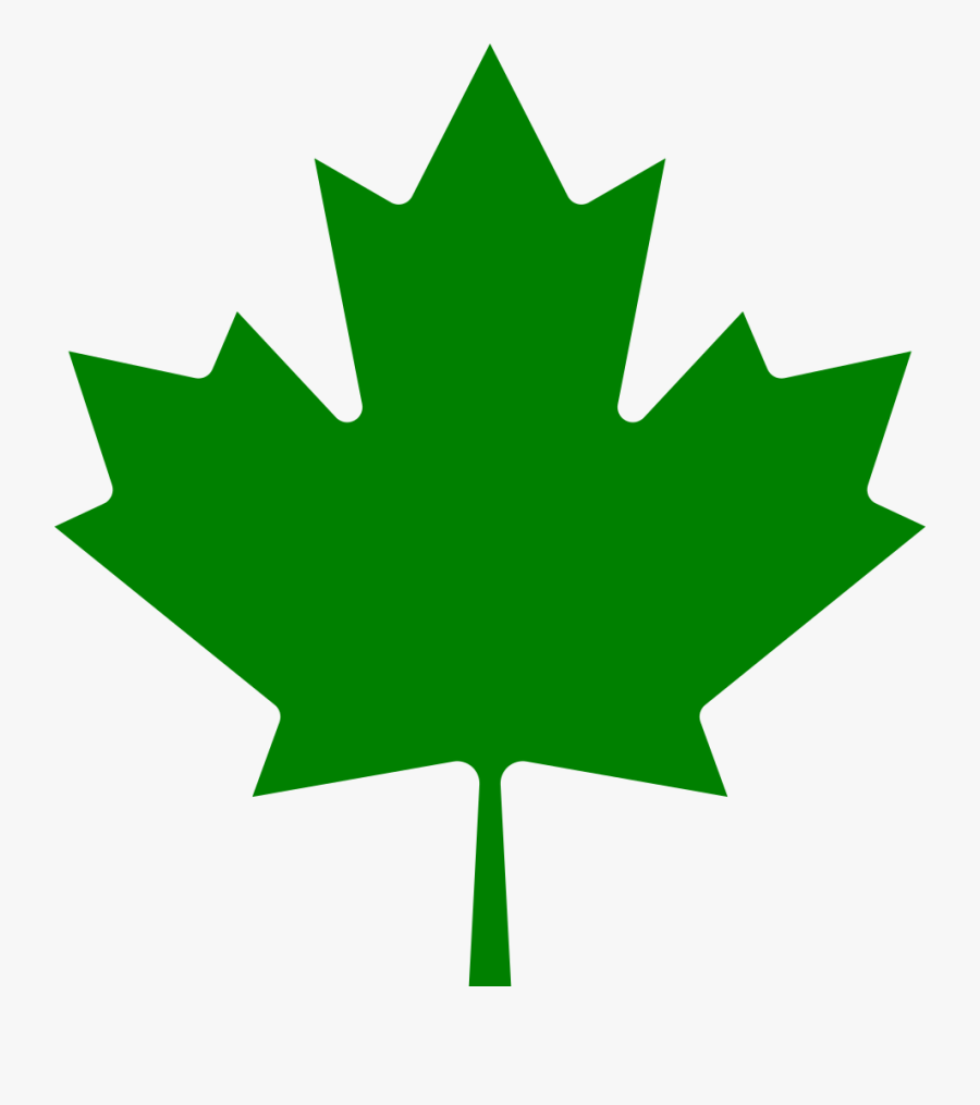 221 × 240 Pixels - Green Canadian Maple Leaf, Transparent Clipart