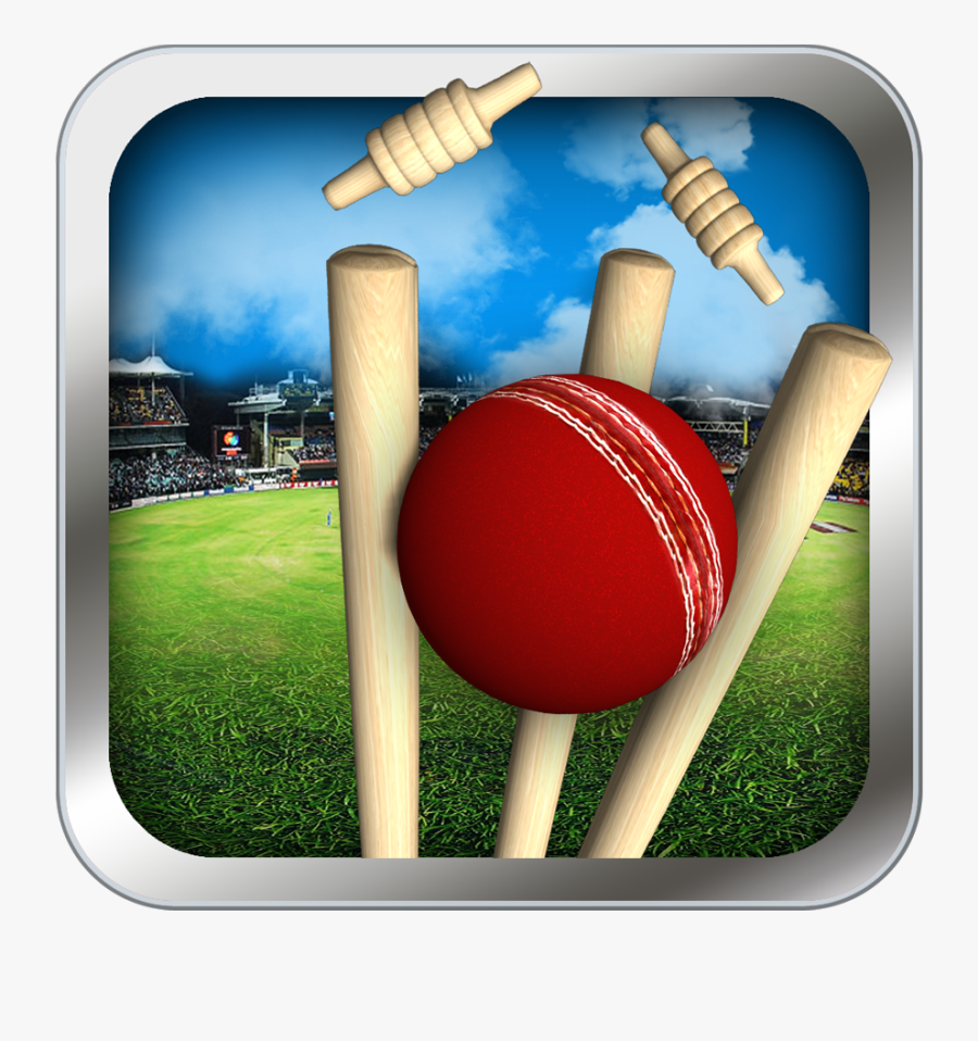 Cricket, Transparent Clipart