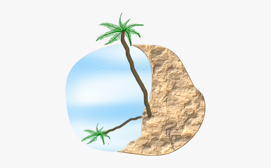 Attalea Speciosa, Transparent Clipart