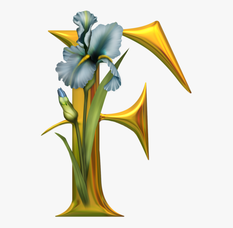 Юлия On Pinterest - F Picmix, Transparent Clipart