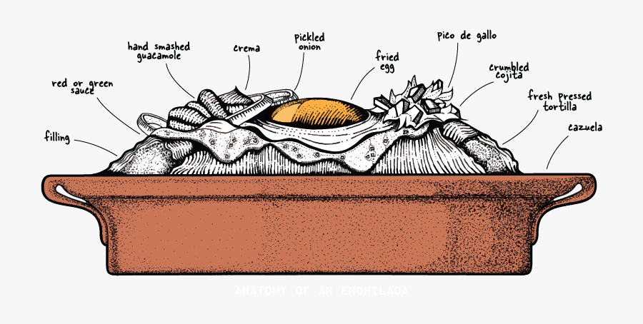 Anatomy Of An Enchilada, Transparent Clipart