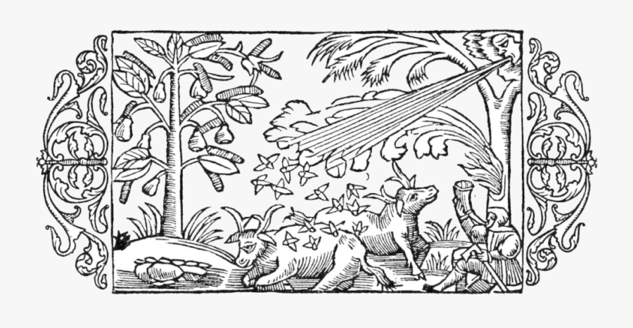 Illustration, Transparent Clipart