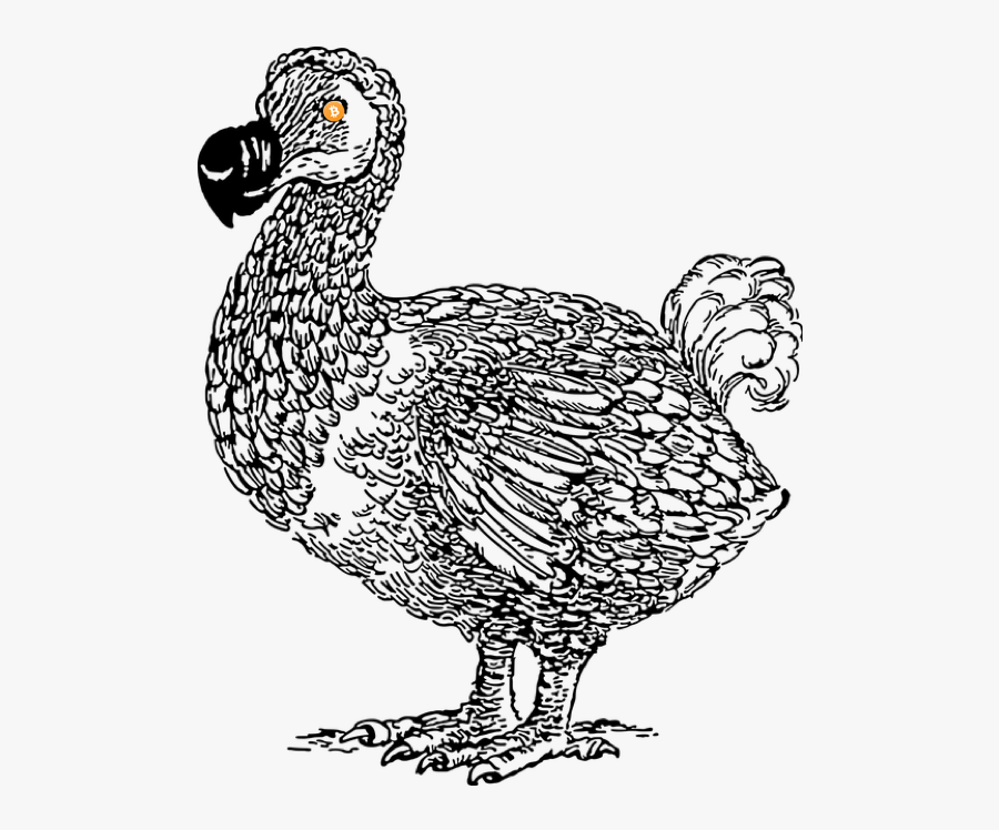 Dodo Bird Line Art, Transparent Clipart
