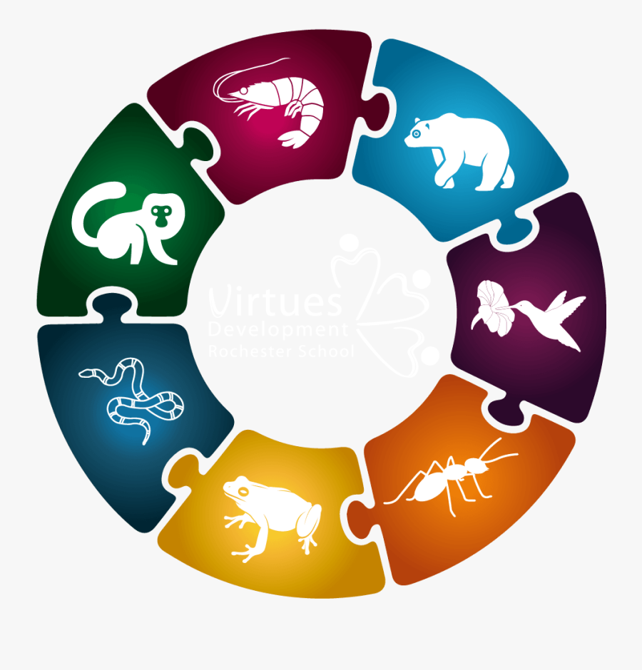 7 Part Puzzle Infographic, Transparent Clipart