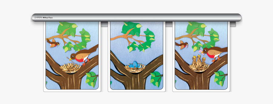 Line It Up - Handwriting Without Tears Line It Up Coloring Cards, Transparent Clipart