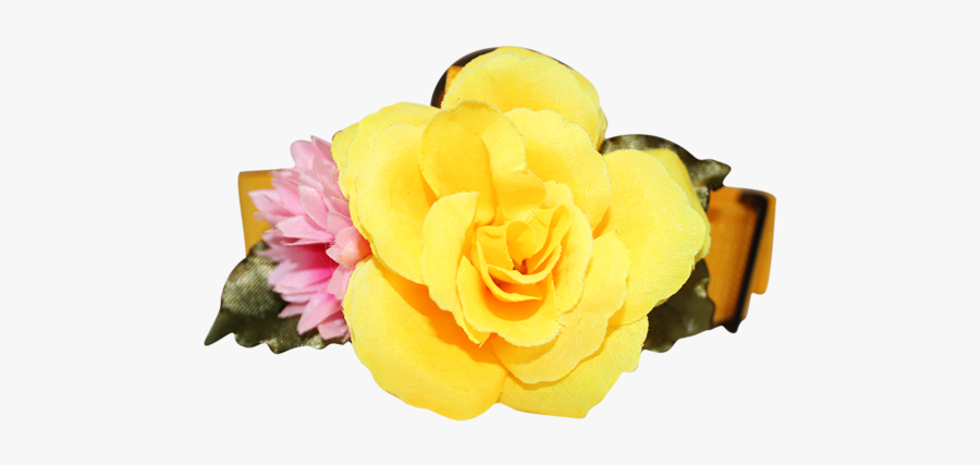 Garden Roses, Transparent Clipart