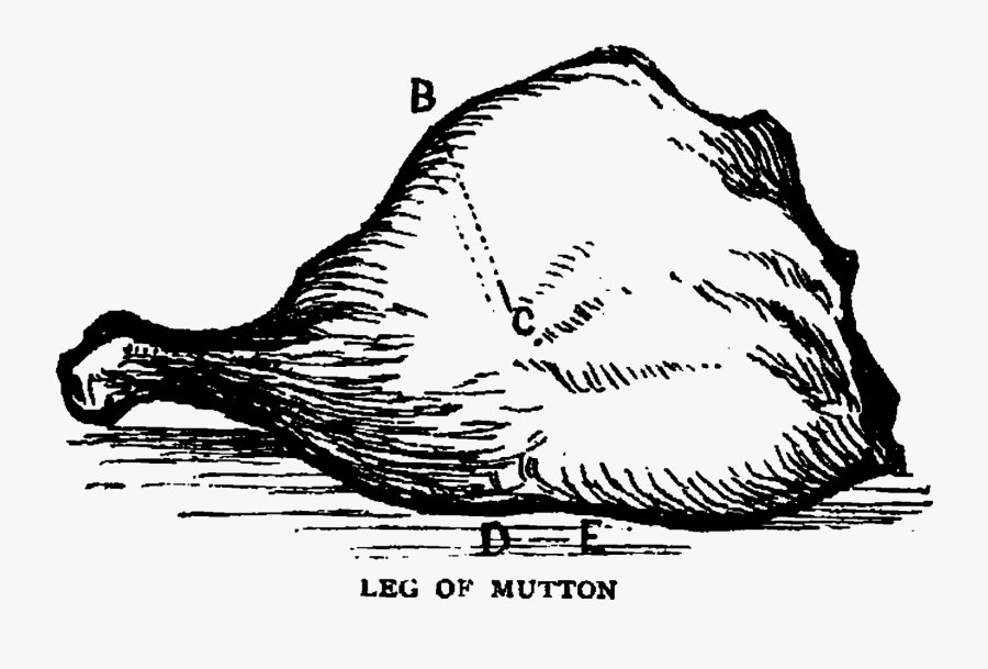 Illustration, Transparent Clipart