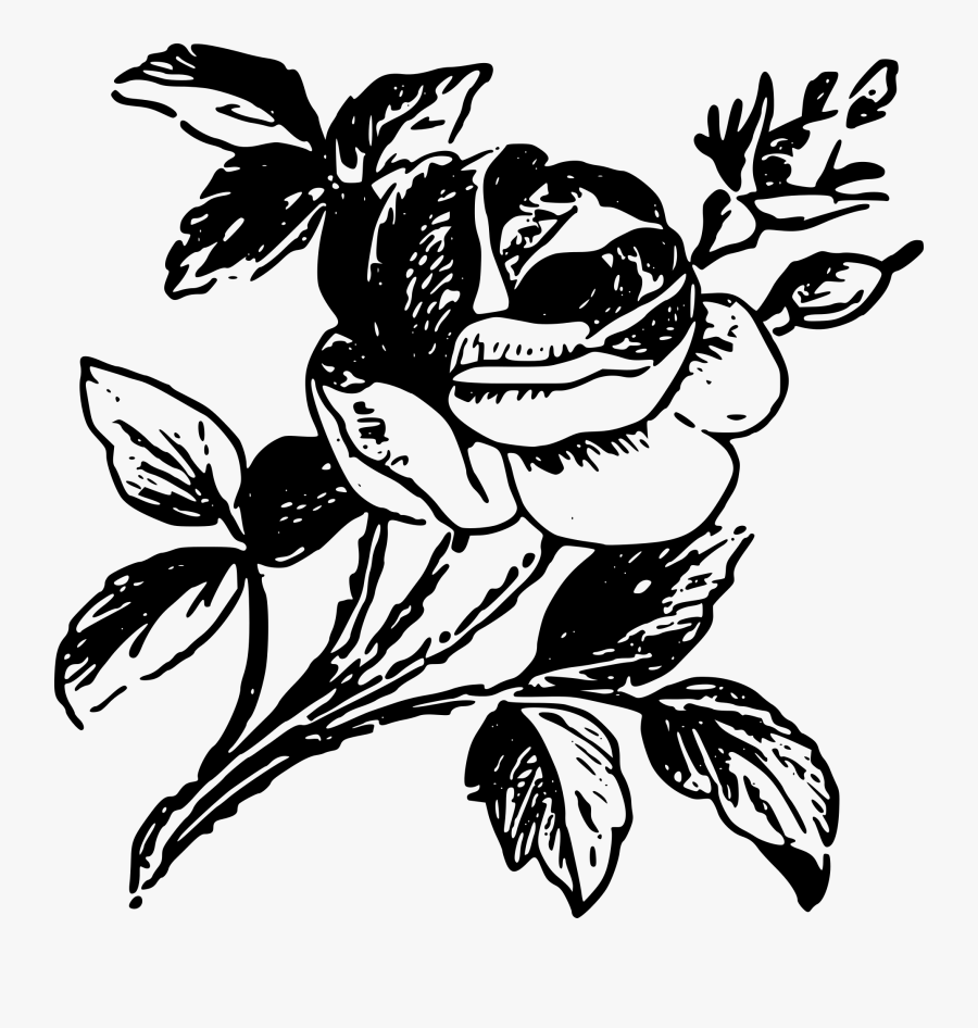 Drawing Rose Black And White Stencil Cc0 - Bunga Mawar Hitam Putih, Transparent Clipart