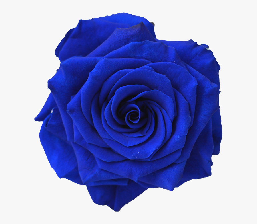 Clip Art Dark Flower Vector Royalty - Blue Flowers No Background, Transparent Clipart