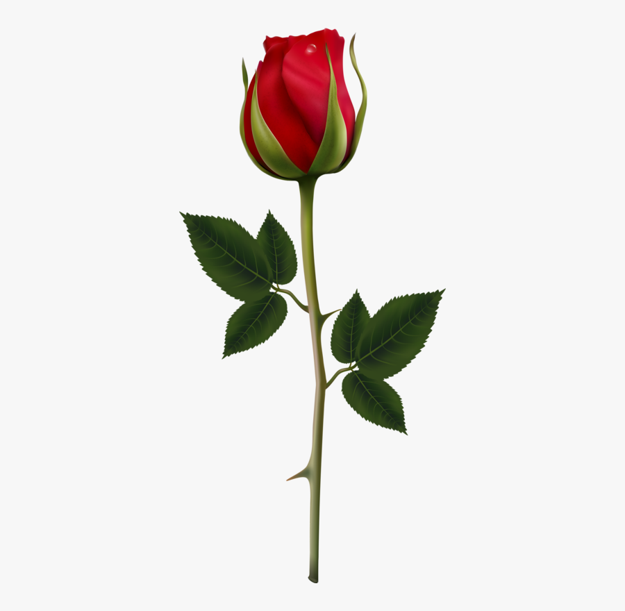 Clipart Rose Rose Bud - Desenho Botão De Rosa, Transparent Clipart