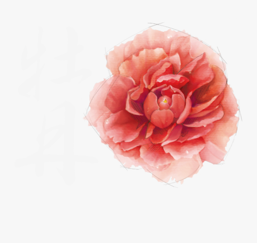 Transparent Shampoo Clipart - Bathing, Transparent Clipart