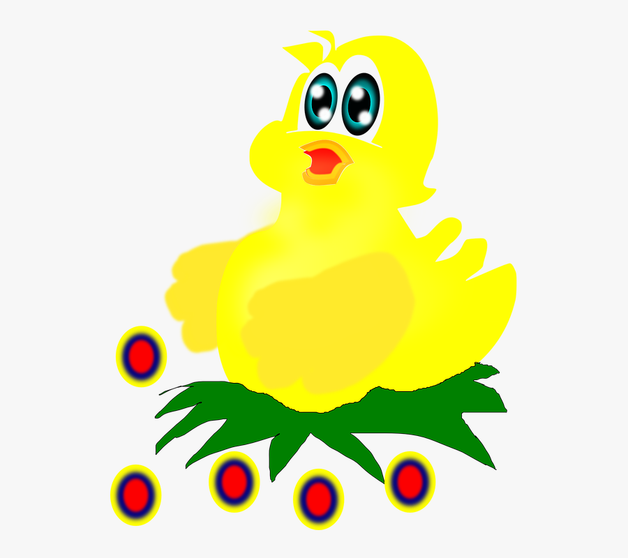 Warna Anak Ayam Kartun, Transparent Clipart