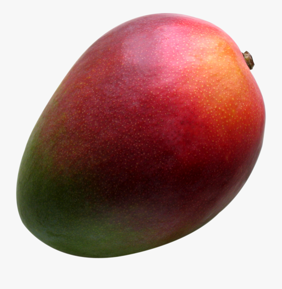 Mango Fruit Png - Mango, Transparent Clipart