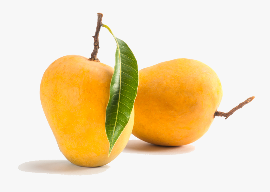 Transparent Mango Tree Png - Alphonso Mango Fruit, Transparent Clipart