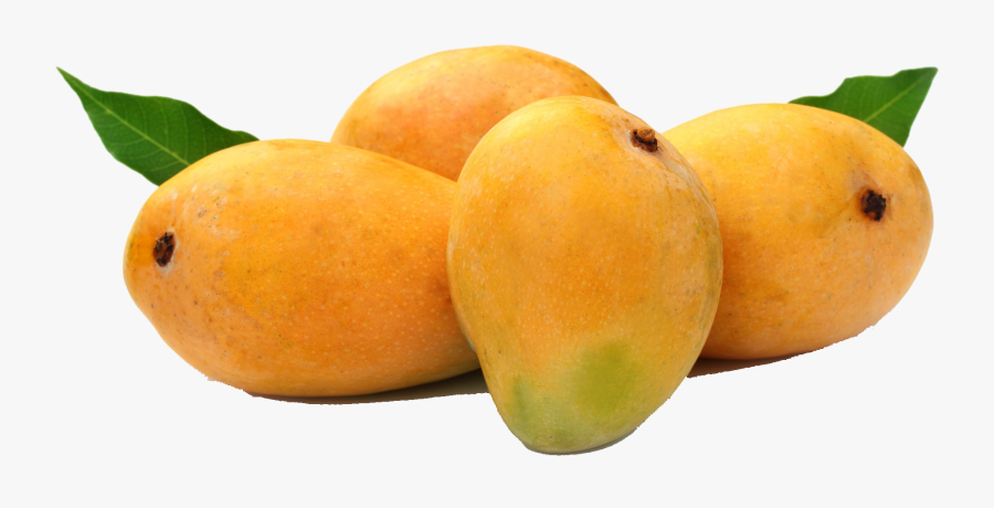 Transparent Mango Fruit Png - Mango Png, Transparent Clipart