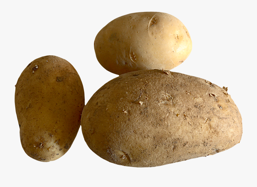 Potato, Transparent Clipart