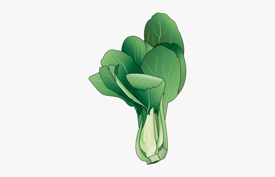Transparent Bok Choy Clipart, Transparent Clipart