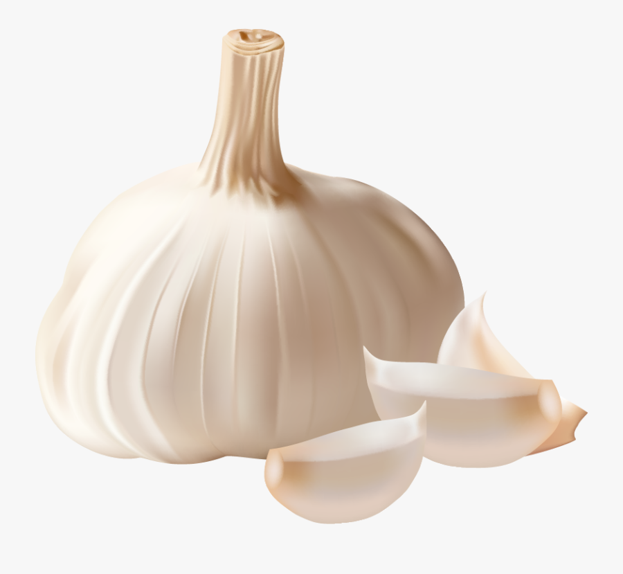 Garlic Png, Transparent Clipart