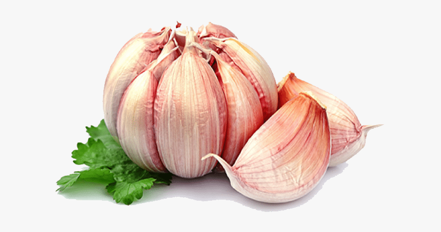 Dente De Alho, Transparent Clipart