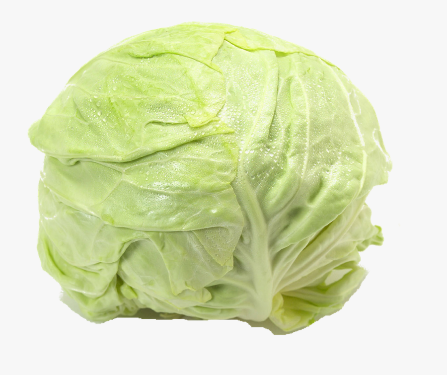 Lettuce - キャベツ, Transparent Clipart
