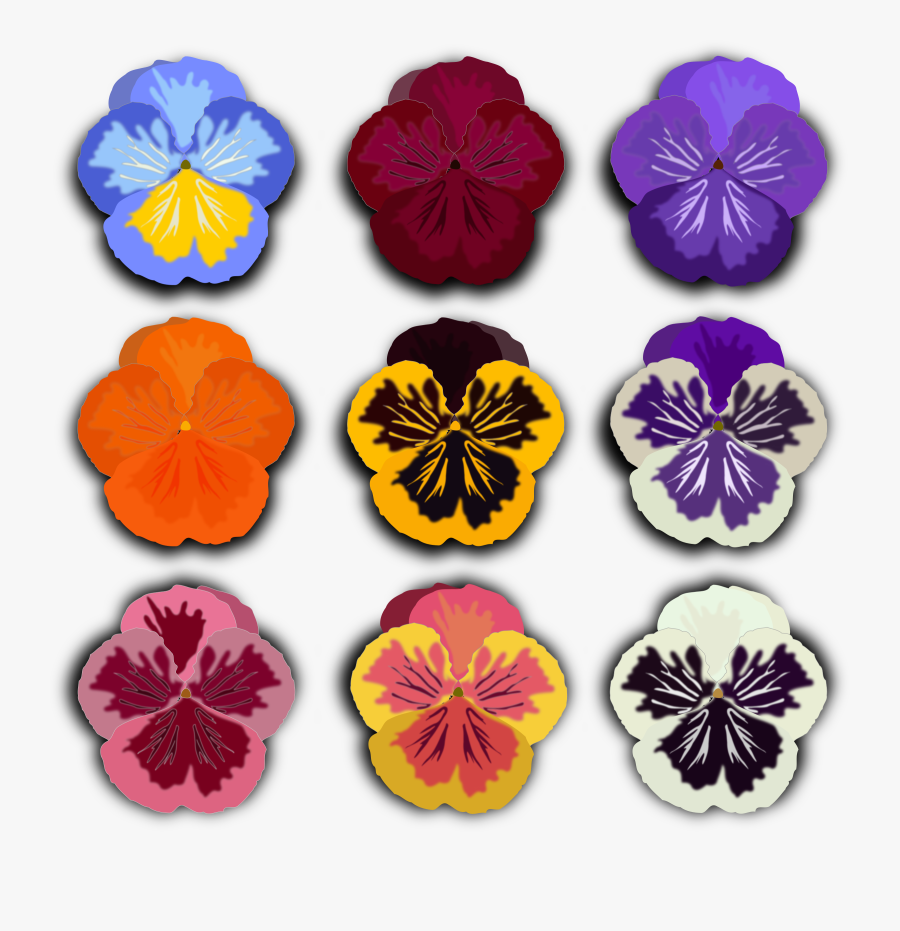Pansy, Transparent Clipart