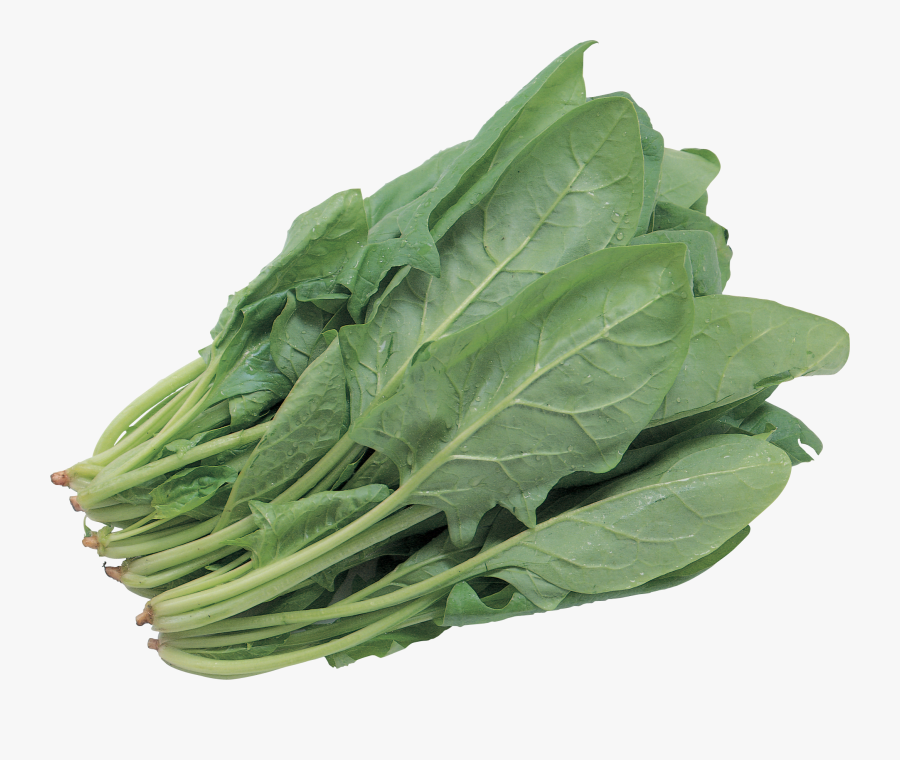 Transparent Lettuce Leaf Clipart - Transparent Background Vegetables Clipart, Transparent Clipart