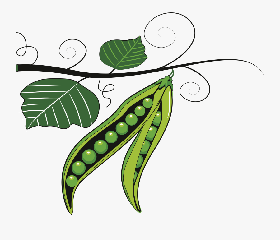 Vegetable Clipart Pulse - Green Peas Clip Art, Transparent Clipart