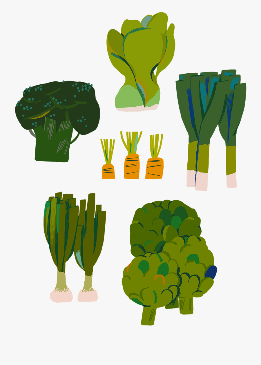 Illustration, Transparent Clipart