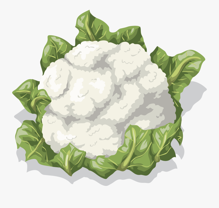 Vegetables Clipart Cauliflower - Cauliflower Leaves Clipart Png, Transparent Clipart