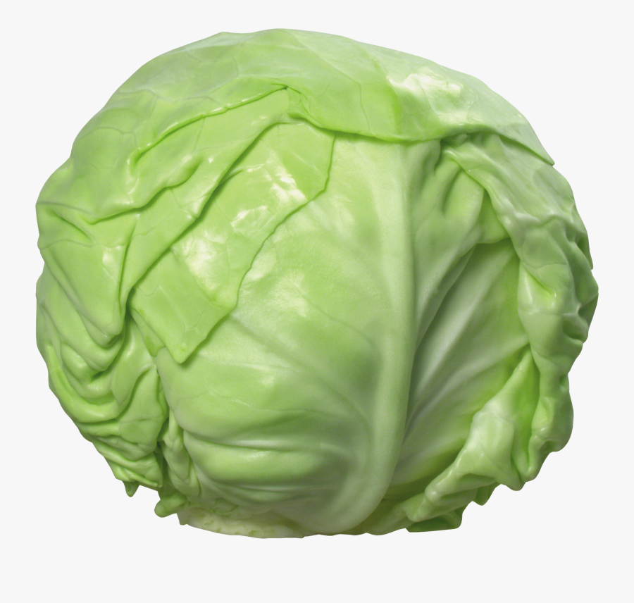 Cabbage Png, Transparent Clipart