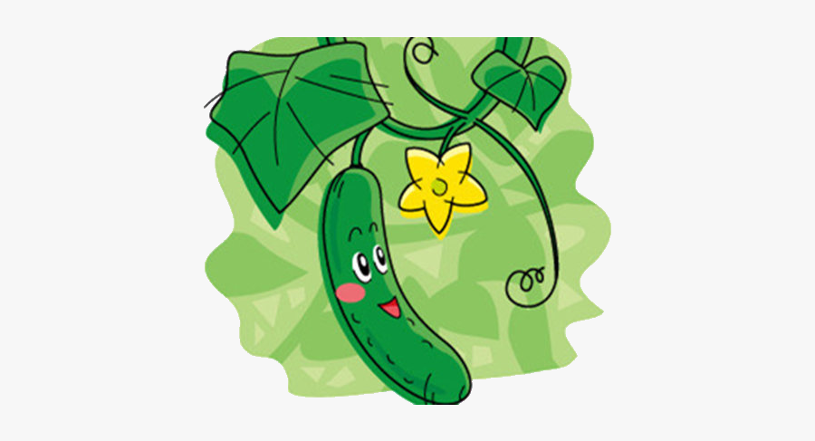 Vegetable Cucumber Cartoon Illustration Hq Image Free - Gambar Mentimun Kartun, Transparent Clipart