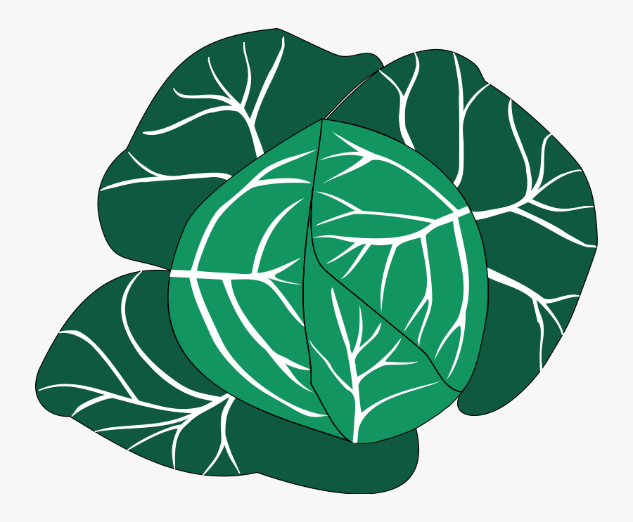 Vegetables 24 Free Vector - Savoy Cabbage Clipart, Transparent Clipart