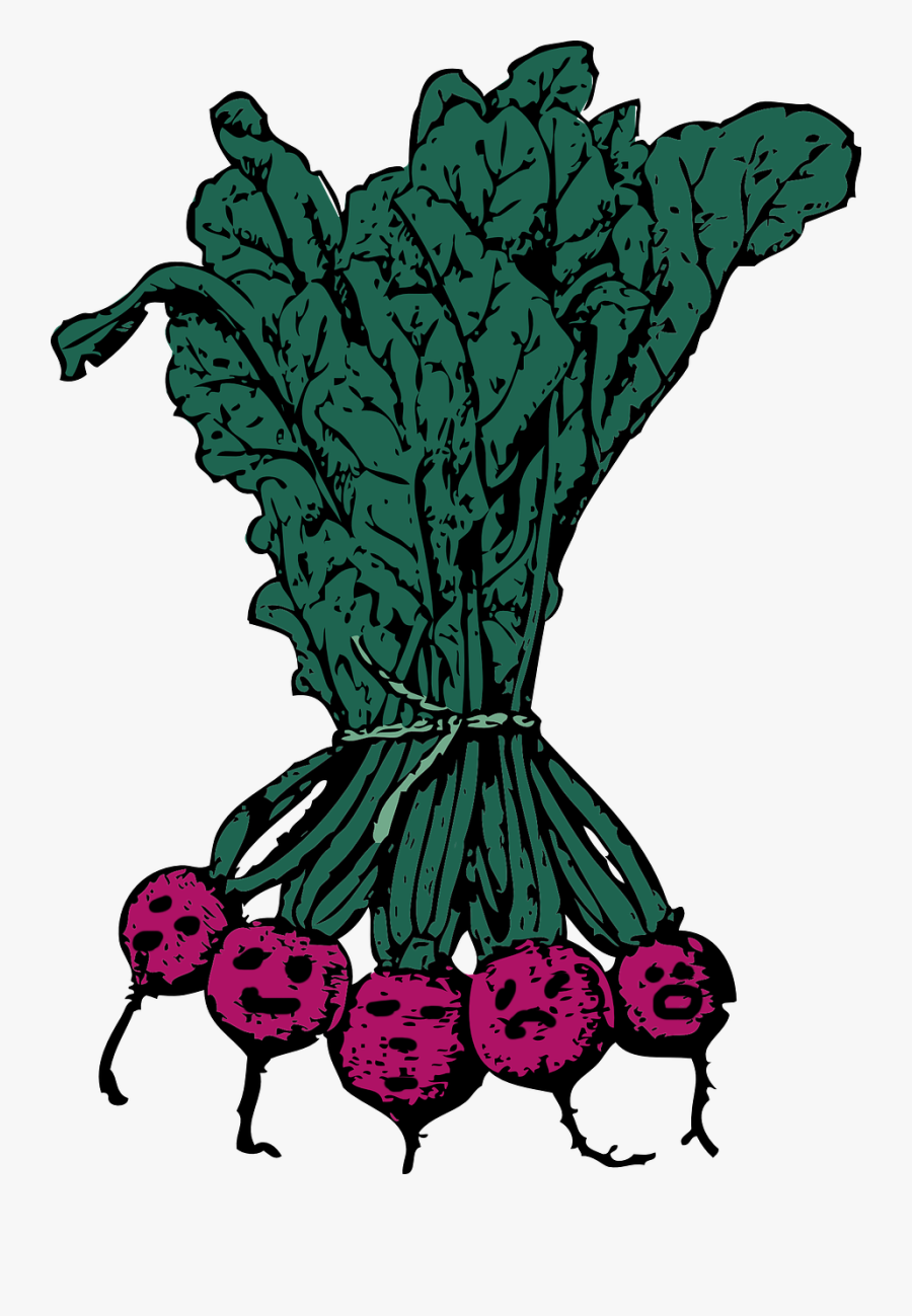 Beets Clip Art, Transparent Clipart