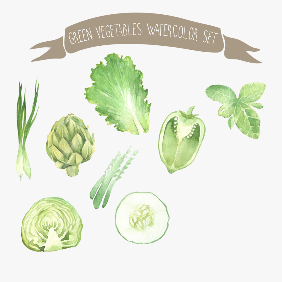 Painting Vegetable Drawing Illustration - Background Drawing Of Vegetables, Transparent Clipart