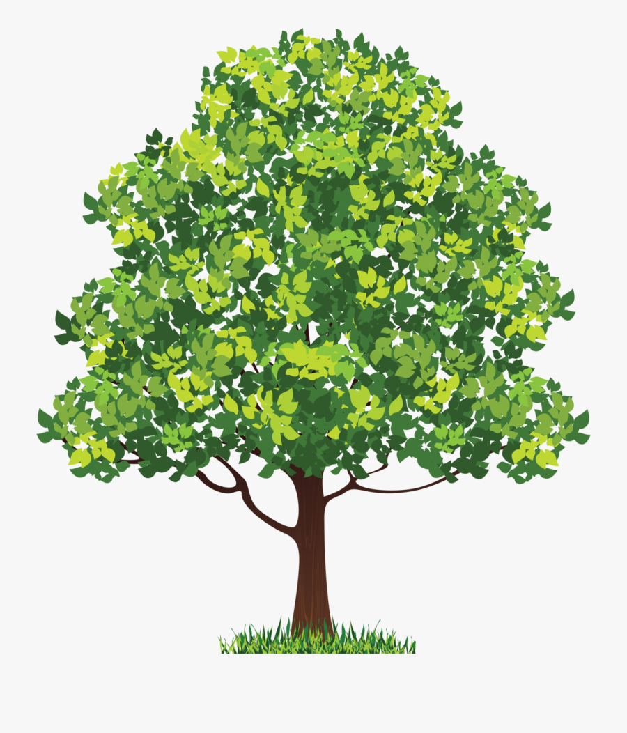Neem Tree Clip Art - Royalty Free Tree Png, Transparent Clipart