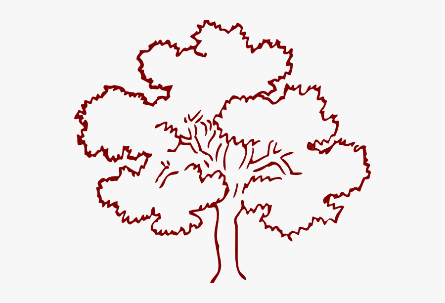 Oak - Clipart - Outline Pictures Of Tree, Transparent Clipart