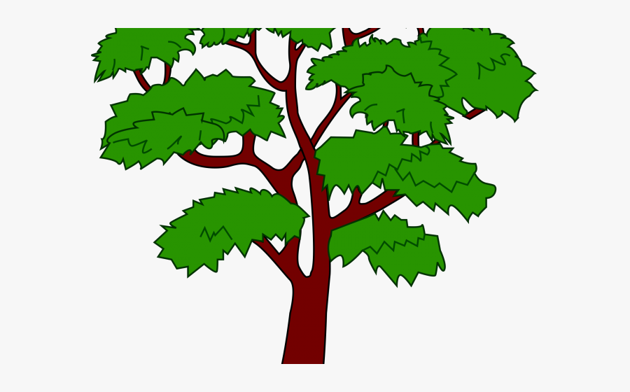 Mahogany Tree Clipart, Transparent Clipart