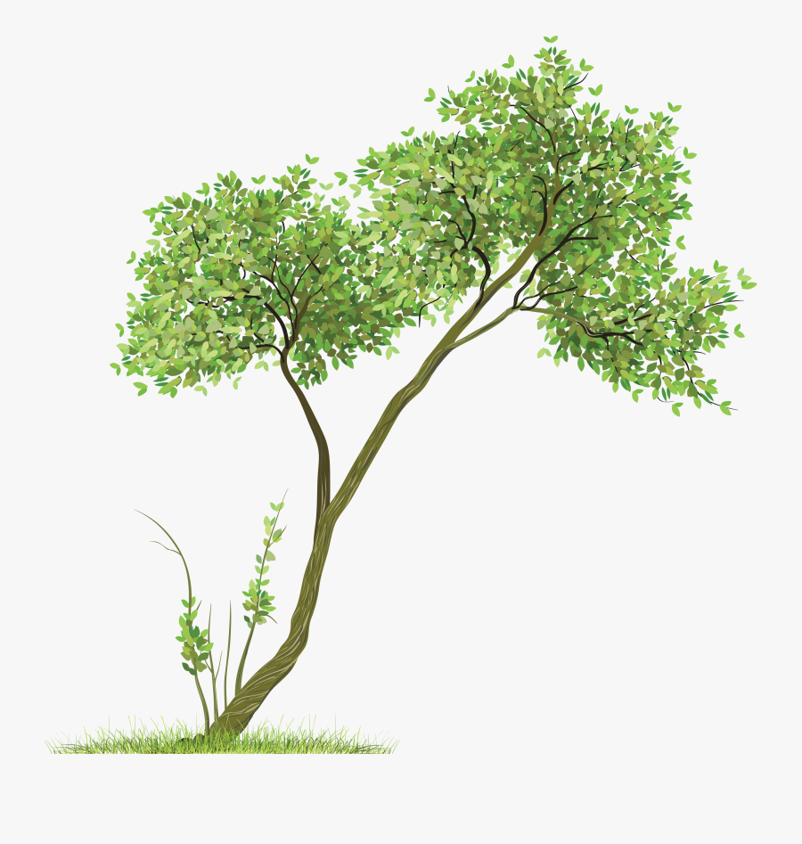Tree Images In Png Format, Transparent Clipart