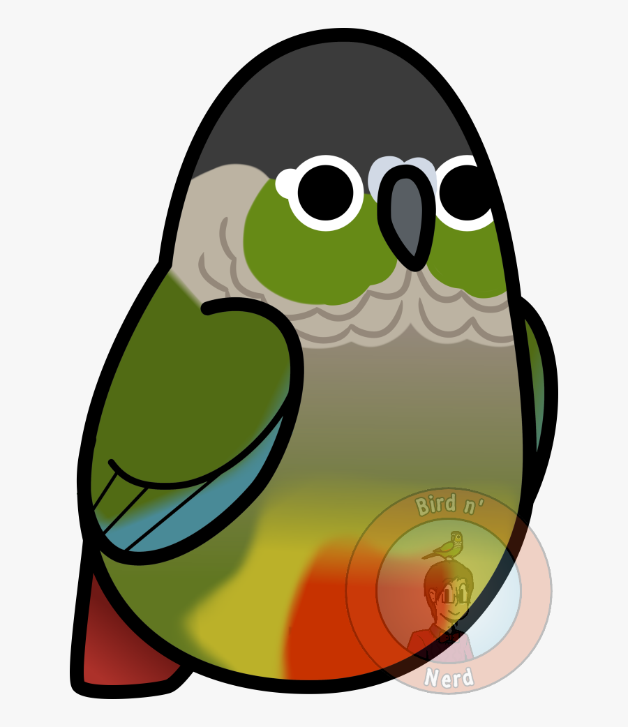 Too Many Birds Cheeked By Maddemichael On - Turquoise Green Cheek Conure Art, Transparent Clipart