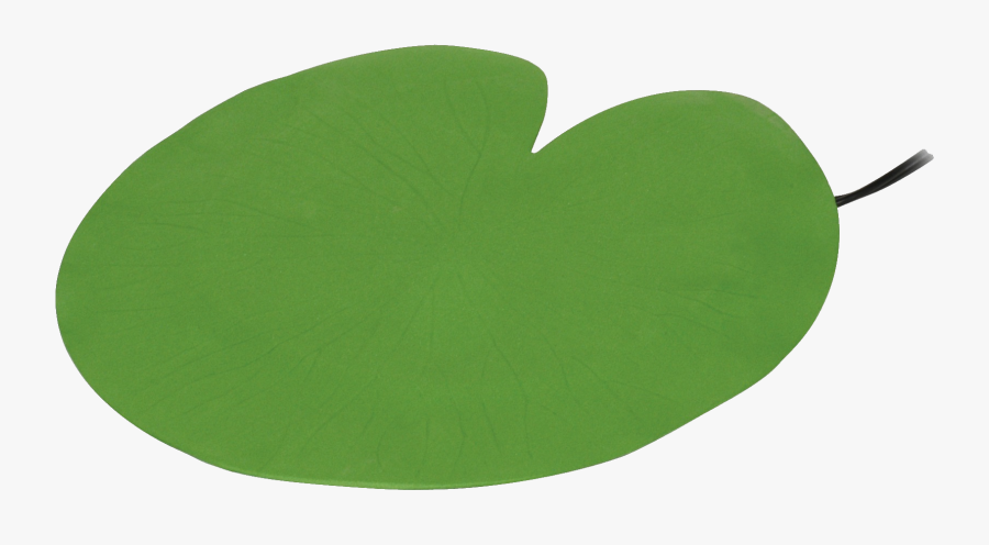 Lily Pad, Transparent Clipart
