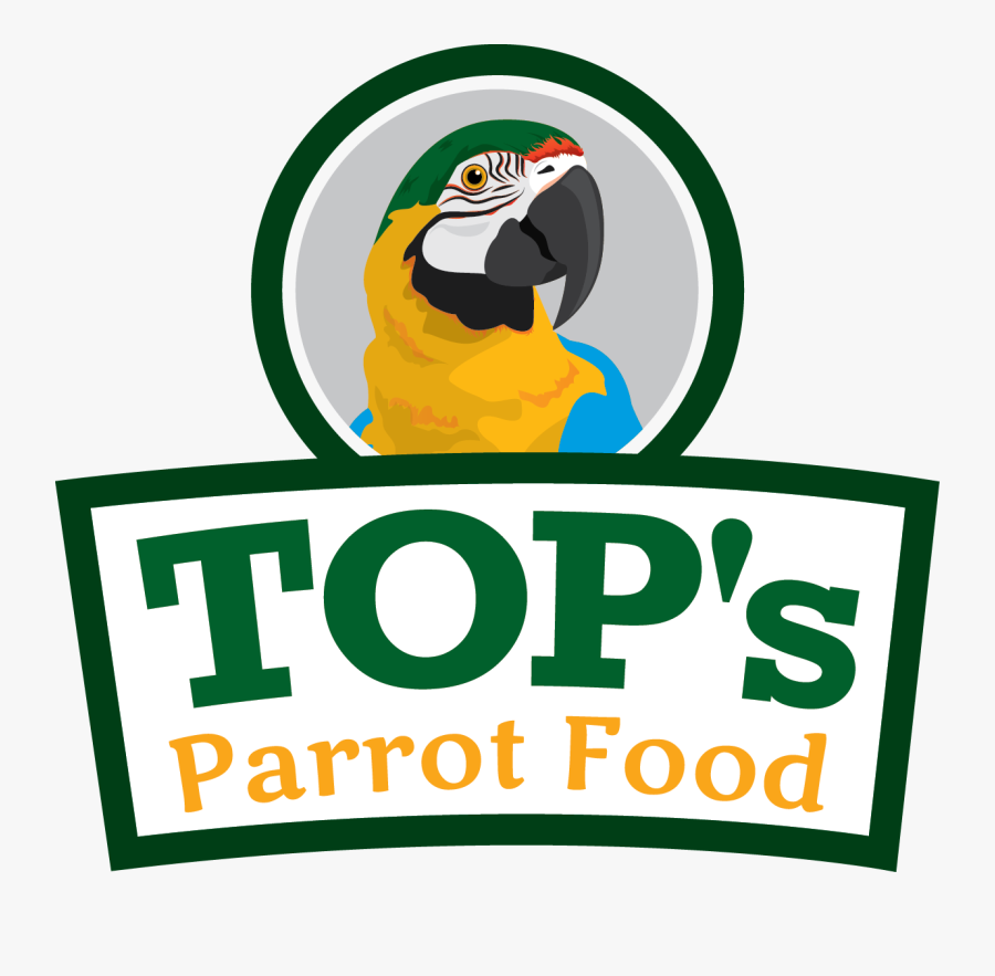 Food Birdsafe Store Allinone, Transparent Clipart