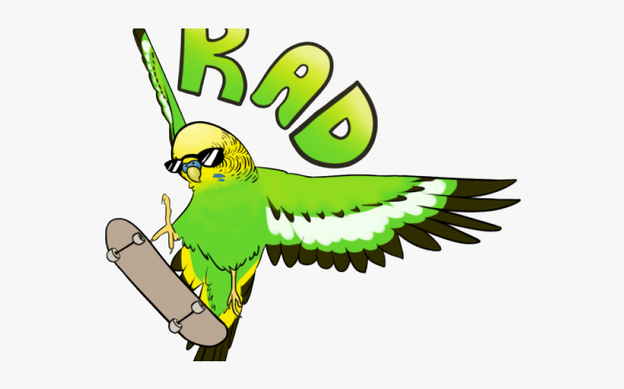 Budgie Stickers, Transparent Clipart