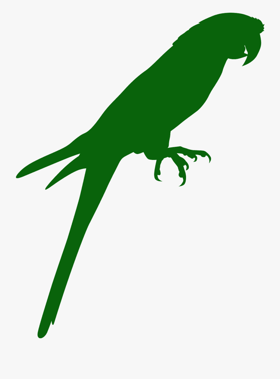 Draw A Parrot Silhouette, Transparent Clipart